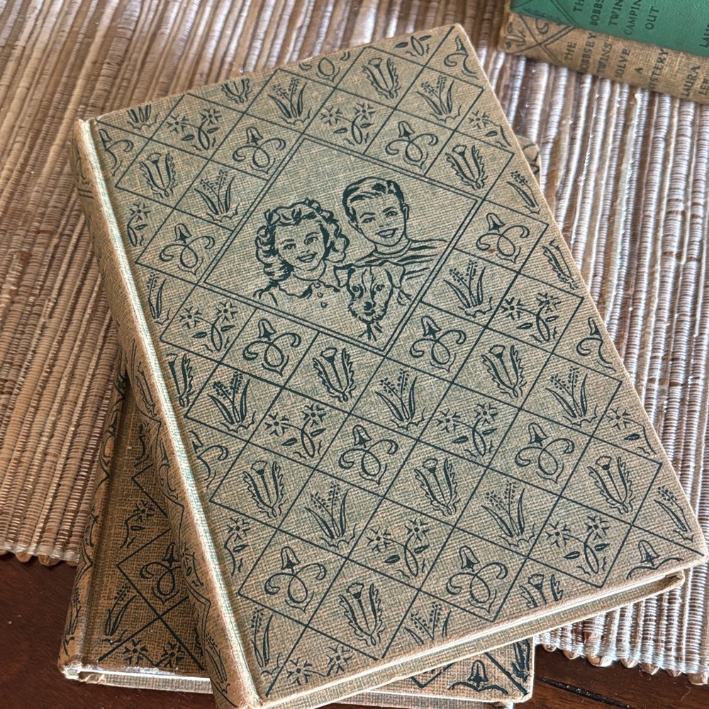 Collection of Bobbsey twin vintage books - Picture 2 of 3